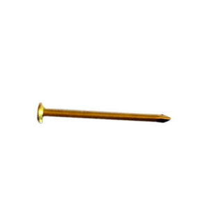 Chiodi acciaio testa bombata 1,9 x 25mm Ottone Lucido